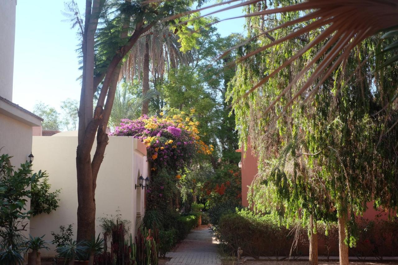 Eden Palm Resident Palmeraie Marrakech Appartement