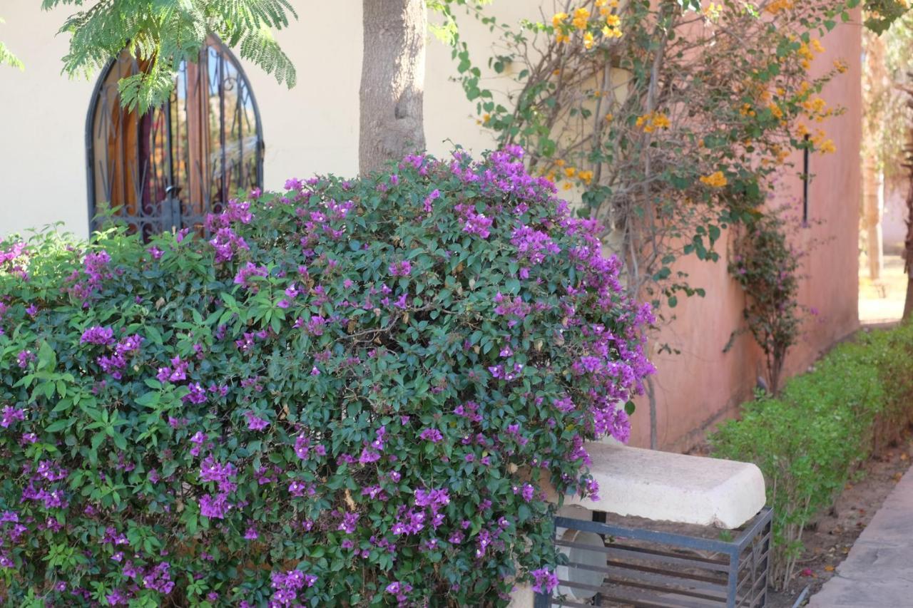 Eden Palm Resident Palmeraie Marrakech * Marrakesh
